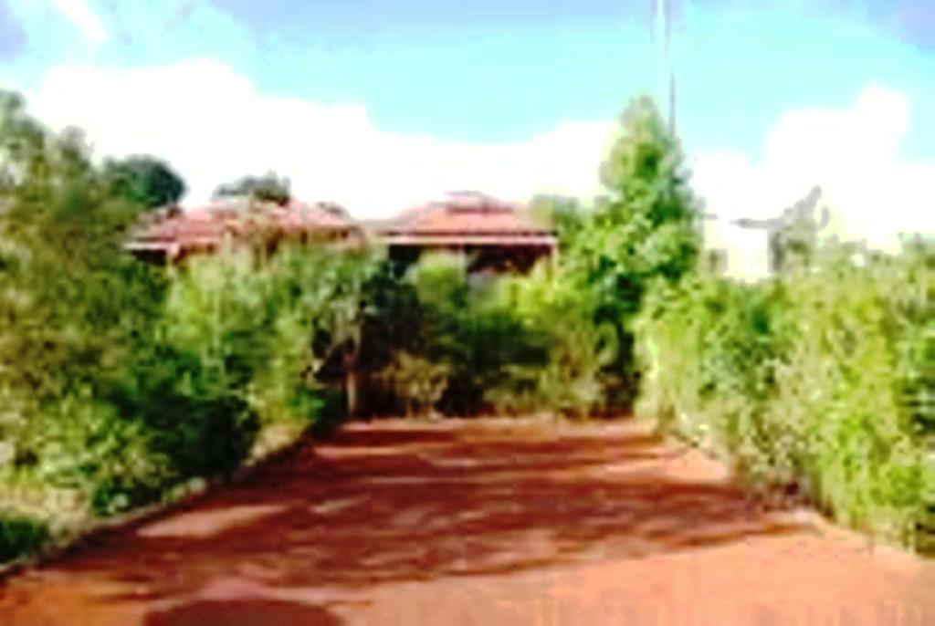 Braslontan Villa Le Tampon Exterior photo
